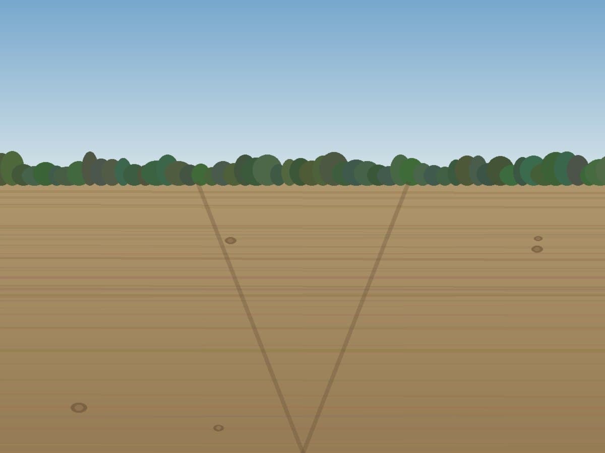 The same lot cleared and graded flat
