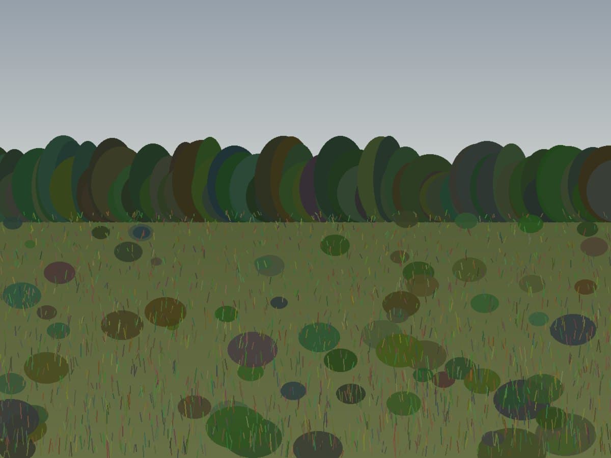 Dense brush and tree line before clearing